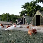 Tenuta Di Sorgnano Фермерский дом Гуальдо-Каттанео