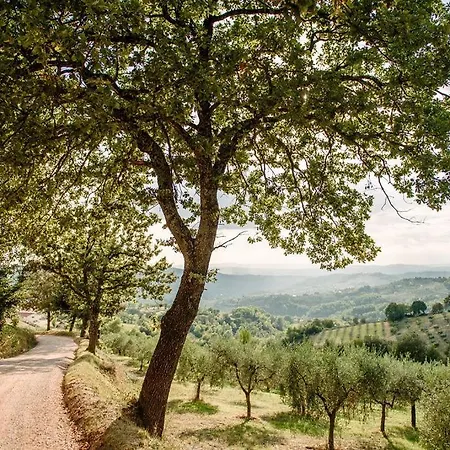 Tenuta Di Sorgnano Farm stay