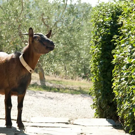 Tenuta Di Sorgnano Çiftlik konaklama *