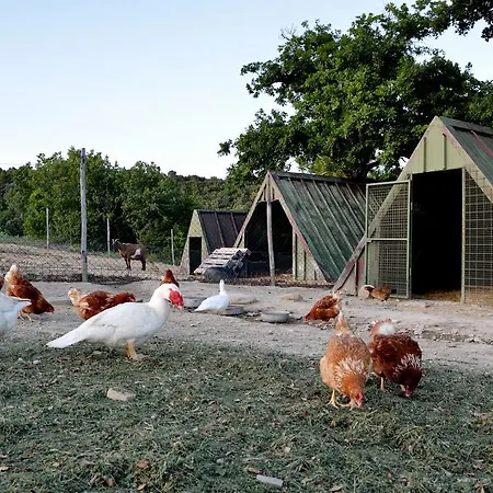 Tenuta Di Sorgnano 农家乐 Gualdo Cattaneo