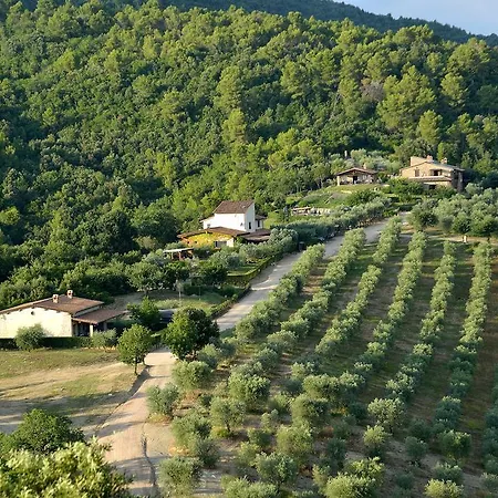 Tenuta Di Sorgnano * Gualdo Cattaneo